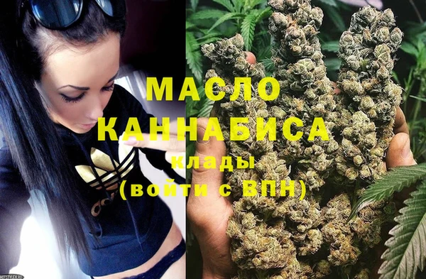 крисы Коряжма