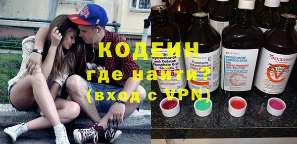 крисы Коряжма