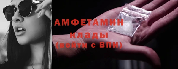 крисы Коряжма