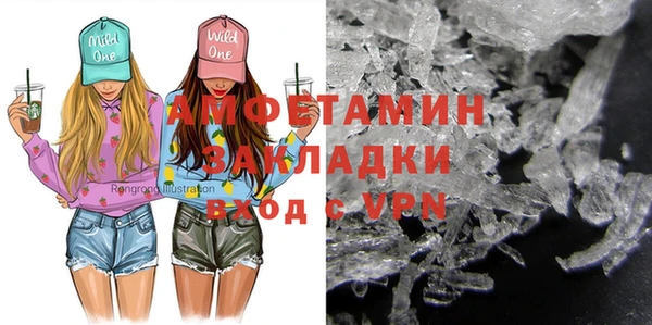 крисы Коряжма