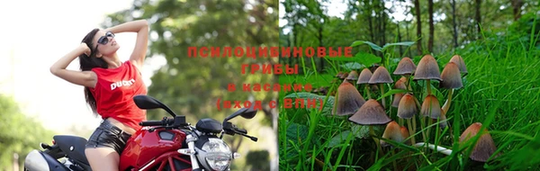 крисы Коряжма