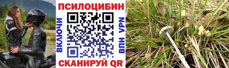 Галлюциногенные грибы Magic Shrooms кракен сайт Севск