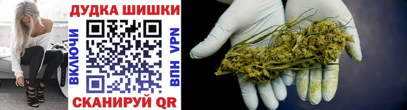 Канабис план  Севск 